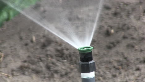 A-Sprinkler-Spray-Riser-in-a-Garden-Turning-On