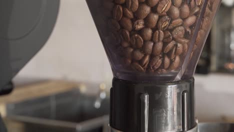 Coffee-bean-grinder​