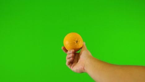 Naranja-Con-Fondo-Verde-Vomitando-Naranja-Con-Pantalla-Verde---Fondo-Verde