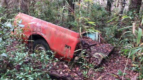 Abandoned-car-wreck-in-the-woods