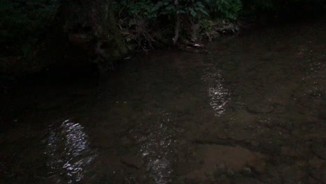 Die-Nacht-Fällt-Auf-Einen-Bedrohlich-Fließenden-Fluss,-Der-Von-Bäumen-Und-Felsen-Gesäumt-Ist