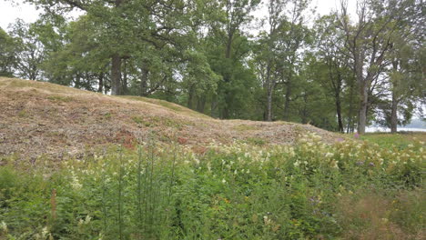 Borre-Mound-Cemetery-Son-Antiguos-Túmulos-Funerarios-Del-Período-Vikingo