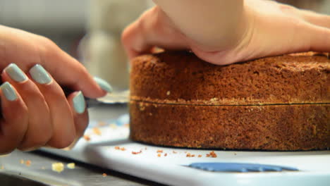 slicing-a-round-chocalate-cake-closeup