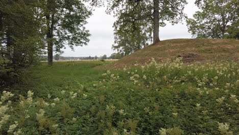 Borre-mound-cemetery-are-ancient-Burial-Mounds-from-the-Viking-period
