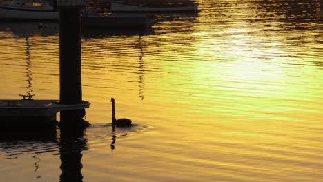 Sunrise-Reflection-near-pier-Sunrise-water-reflection-near-St-Kilda-pier