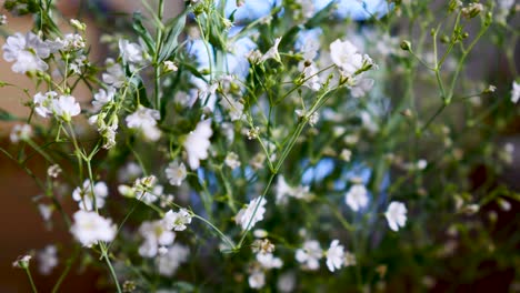 Gypsophila-Monarca-Blanco,-Exhibición-De-Flores-Blancas-Botánicas-En-Un-Jarrón-De-Flores-En-El-Salón-Primer-Plano-De-La-Flor-Blanca-En-La-Casa
