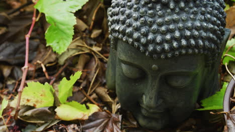 Close-up-of-Buddha-head-surround-by-grapevines