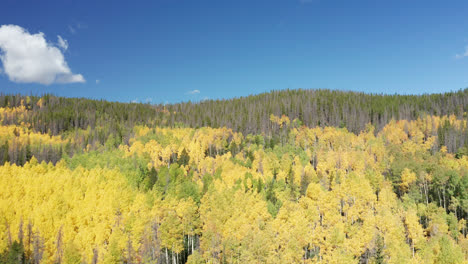 Northern-Colorado-Drohnenaufnahmen-Von-Herbstfarben-In-Den-Bergen