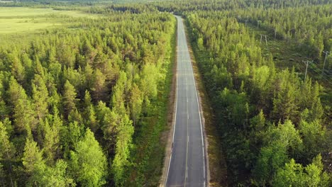 Road-Trip-Auf-Leerer-Autobahn,-Ausgerichtet-Von-Leuchtend-Grünen-Kiefernwäldern,-Lappland,-Finnland