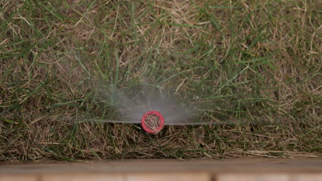 Underground-Pop-Up-Sprinkler-Spraying-water-on-Lawn