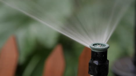 Sprinkler-Spray-on-Riser-Watering-Garden