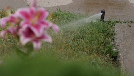 Sprinkler-Rotor-Gear-Drive-Watering-on-Corner-of-Front-Lawn
