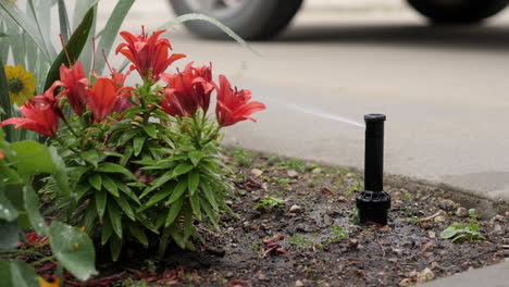 Rainbird-3500-Rotor-Gear-Drive-Popping-up-and-Going-Down-in-Flower-Bed