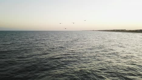 Wide-shot-of-birds-flying-at-sunset-on-the-beach-while-bird-dive-bombs-for-fish
