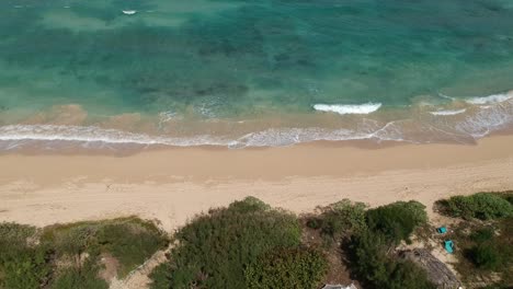 Stabile-Drohnenaufnahme-Der-Nordküste-Von-Oahu-Hawaii-Mit-Blauem-Himmel,-Türkisfarbenem-Pazifik-Und-Palmen-Und-Rollenden-Wellen-Auf-Weißem-Sand