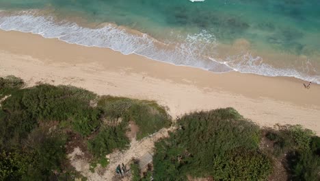 stable-drone-shot-of-north-shore-oahu-hawaii-with-blue-sky-turquoise-pacific-ocean-and-palm-trees-and-some-white-clouds-and-one-person-walking-along-the-sand