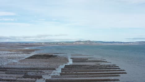 Shellfish-farming-rows-of-racks-in-the-sea-on-mud-flats