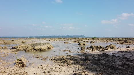 An-unusual-natural-landscape-of-shorelines-at-low-tide-in-the-Andaman-islands-with-volcanic-rocks-and-mangrove-ecosystems