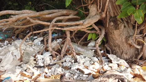 Plastic-bottles-washed-up-into-the-roots-of-trees-on-the-shoreline-of-a-remote-tropical-island-in-the-Andamans-in-India