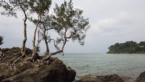 A-view-from-the-rocky-outcrop-of-a-remote-beach-in-the-Andaman-islands-with-a-deserted-beach-in-the-distance-lined-by-trees
