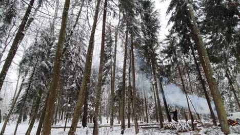 Man-cutting-down-a-birch-tree-in-wintery-eastern-European-forest