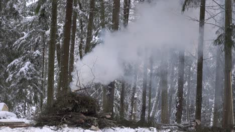 Mann-In-Dunkelblauem-Overall,-Der-In-Einem-Verschneiten-Wald-Spaziert,-Mit-Einem-Lagerfeuer-Aus-Brennenden-Ästen-Auf-Der-Anderen-Seite