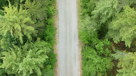 Drone-reveal-shot-of-top-down-angle-of-an-ATV-or-four-wheeler-driving-on-a-dirt-road-surrounded-by-green-pines-trees-in-a-forest-located-in-rural-Canada