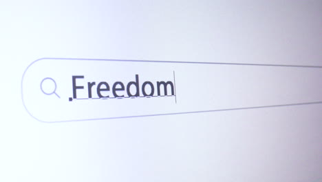Browser-bar-with-typed-Freedom-keyword-on-the-computer-screen,-SEO-Concept