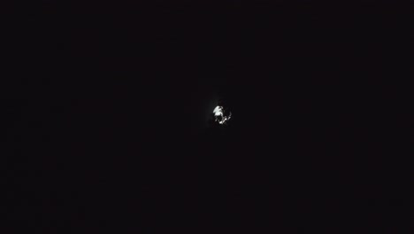 Luna-Brillante-Moviéndose-Detrás-De-La-Línea-De-árboles-En-El-Lapso-De-Tiempo-De-La-Noche