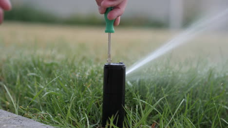 Adjusting-Rainbird-5000-with-Screw-Driver-while-it-Rotates-and-Waters-Green-Lawn