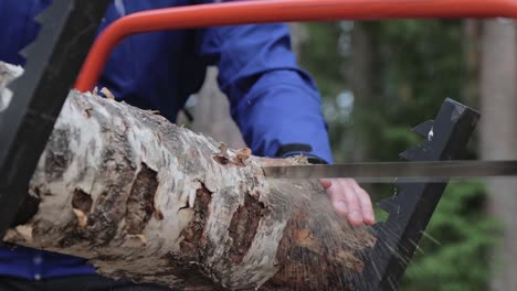 Man-sawing-a-birch-log-with-a-bow-saw-in-forest-in-Repovesi-national-park-in-Finland,-stationary-shot