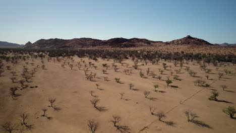 Traveling-through-unique-Namibian-desert-landscape,-dry-conditions