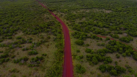 Drone-shot-tilting-to-reveal-the-red-dirt-pathway-in-a-tropical-dry-forest-during-a-cloudy-day