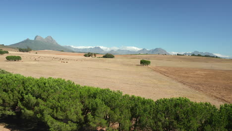 Serene-View-Of-Nature-At-Simonsberg-Nature-Reserve-In-Stellenbosch-Near-Wine-Estate-In-South-Africa's-Western-Cape-Province