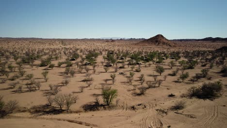 Sidewards-aerial-of-truck-driving-through-sparse-vegetation-in-desert