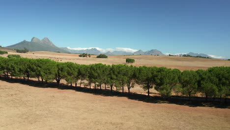 Picturesque-Sunny-Day-View-Of-Simonsberg-Nature-Reserve-Near-Wine-Estate-In-Stellenbosch,-Western-Cape-Province-Of-South-Africa