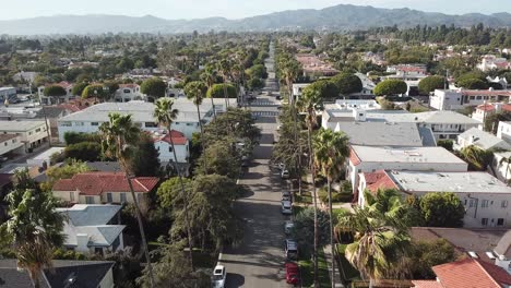 aerial-view-of-palm-tree-lined-street