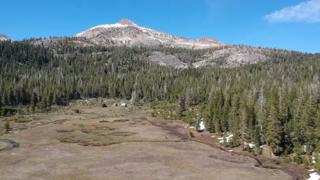 Luftaufnahme-Wald-In-Den-Ausläufern-Der-Landschaft-Der-Sierra-Nevada,-Kalifornien