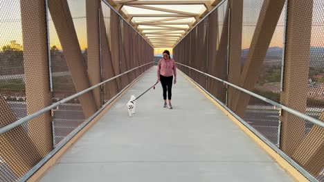 Hispanic-female-walks-dog