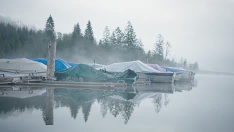 Speedboats-docked-on-a-foggy-lake-morning,-pine-trees-in-background