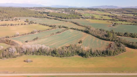 Aerial-view-of-nature-sown-field-without-people-Snowy-Pyrenees-mountain-in-the-background-Landscape-of-the-Costa-Brava-of-Girona-in-Spain