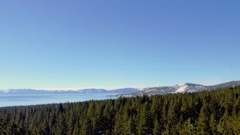 Drohnenaufnahme-Aus-Der-Luft,-Die-über-Kiefern-Aufsteigt-Und-Den-Kristallklaren-See-Und-Die-Berge-Am-Horizont-In-Lake-Tahoe,-Nevada,-Kalifornien,-Enthüllt
