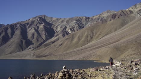 Young-man-enjoying-the-nature-and-feeling-the-beauty-of-chandratal-lake,-Himachal-Pradesh