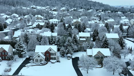 Suburban-community-in-winter-snow