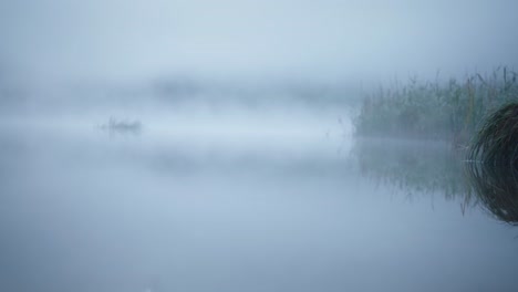 Kleiner-See-Teich-Wolkig-Morgens-Neblig