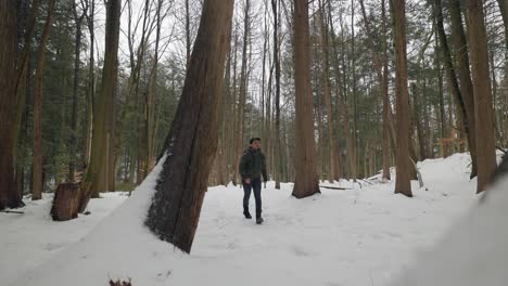 Static-shot-of-Hiker-in-Snow-Covered-Winter-Forest-Walking-towards-camera