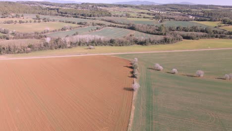 Aerial-views-with-drone-of-a-field-in-the-area-of-Girona-Spain-green-landscape-nature-organic-farming-dry-red-earth