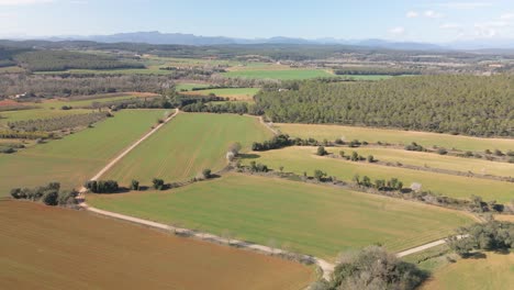 Luftaufnahme-Von-Gesäten-Feldern-In-Catalonia-Maresme-Mit-Pyrenäen-Im-Hintergrund