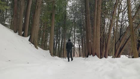 Low-Static-shot-of-Hiker-in-Dense-Snow-Covered-Winter-Forest-Walking-away-from-camera