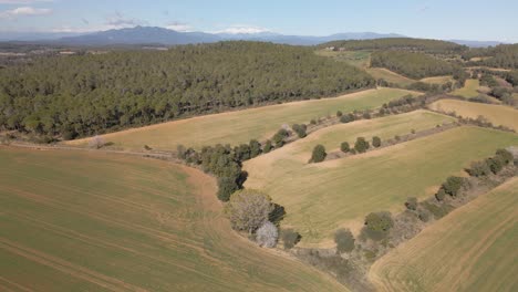 Aerial-view-of-nature-sown-field-without-people-Snowy-Pyrenees-mountain-in-the-background-Landscape-of-the-Costa-Brava-of-Girona-in-Spain